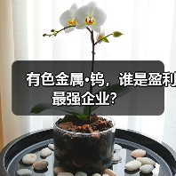 有色金属·钨,谁是盈利最强企业?(图3) 有色金属·钨,谁是盈利最强企业?(图3)