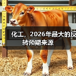 化工，2026年最大的反转预期来源（图3）