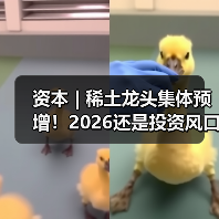 资本 | 稀土龙头集体预增！2026还是投资风口吗？（图2）