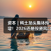 资本 | 稀土龙头集体预增！2026还是投资风口吗？（图3）