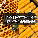 资本 | 稀土龙头集体预增！2026还是投资风口吗？（图4）