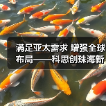 满足亚太需求 增强全球布局——科思创珠海新TPU生产基地正式投产（图4）