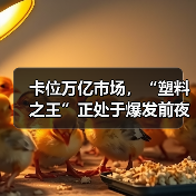 卡位万亿市场，“塑料之王”正处于爆发前夜（图3）