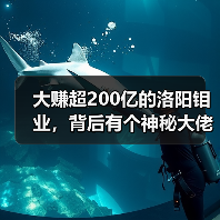 大赚超200亿的洛阳钼业，背后有个神秘大佬（图2）