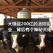 大赚超200亿的洛阳钼业，背后有个神秘大佬（图4）