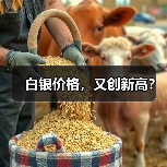 白银价格，又创新高？（图4）