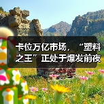 卡位万亿市场，“塑料之王”正处于爆发前夜（图2）