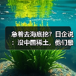 急着去海底挖？日企说：没中国稀土，他们最多撑3-6个月（图2）