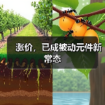 涨价，已成被动元件新常态（图1）