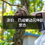 涨价，已成被动元件新常态（图4）