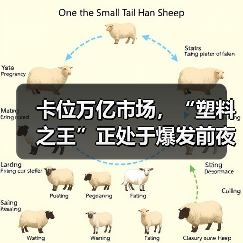 卡位万亿市场，“塑料之王”正处于爆发前夜（图4）