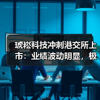 琥崧科技冲刺港交所上市：业绩波动明显，极其依赖少数客户（图2）
