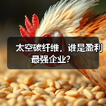 太空碳纤维，谁是盈利最强企业？（图4）