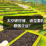 太空碳纤维，谁是盈利最强企业？（图2）