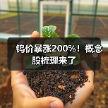 钨价暴涨200%！概念股梳理来了（图1）