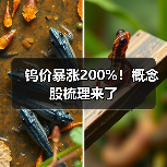 钨价暴涨200%！概念股梳理来了（图4）