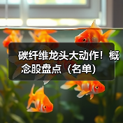碳纤维龙头大动作！概念股盘点（名单）（图4）