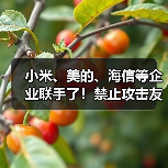小米、美的、海信等企业联手了!禁止攻击友商,携手力推“铝代铜”(图2) 小米、美的、海信等企业联手了!禁止攻击友商,携手力推“铝代铜”(图2)