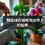 陶瓷球在精密传动件上的应用（图1）