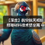 【深度】航空航天减振降噪材料技术壁垒高 中国企业竞争力持续增强（图1）