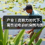 产业丨高算力时代下，高性能电容的突围与国产替代机遇（图3）