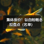 集体涨价！钛白粉概念股盘点（名单）（图4）