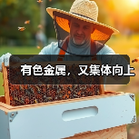 有色金属板块强势上涨：业绩、估值、供需多重驱动