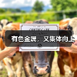 有色金属，又集体向上（图2）