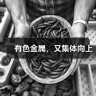 有色金属，又集体向上（图4）