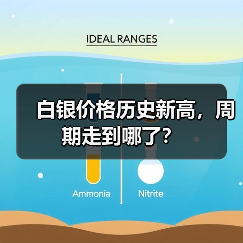 白银价格历史新高，周期走到哪了？（图4）