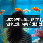 动力锂电行业：碳酸锂迎来上涨 钠电产业加速落地（图1）