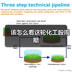 该怎么看这轮化工股周期（图3）