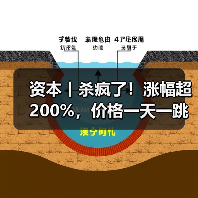 资本丨杀疯了！涨幅超200%，价格一天一跳，拐点在哪？（图2）