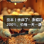 资本丨杀疯了！涨幅超200%，价格一天一跳，拐点在哪？（图1）