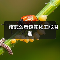 该怎么看这轮化工股周期（图1）