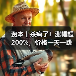 资本丨杀疯了！涨幅超200%，价格一天一跳，拐点在哪？（图3）