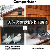该怎么看这轮化工股周期（图4）