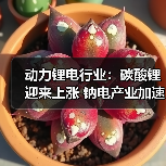 动力锂电行业：碳酸锂迎来上涨 钠电产业加速落地（图4）