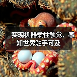 实现机器柔性触觉，感知世界触手可及（图1）