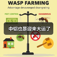 中铝也是迎来大运了（图4）