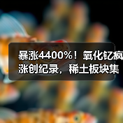 暴涨4400%！氧化钇疯涨创纪录，稀土板块集体躁动（图4）