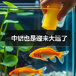 中铝也是迎来大运了（图3）