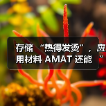 存储 “热得发烫”，应用材料 AMAT 还能 “沾光” 吗？（图2）