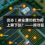 资本丨贵金属价格为何上窜下跳？——探寻巨幅波动背后推手（图4）