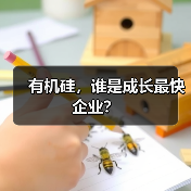 有机硅，谁是成长最快企业？（图4）