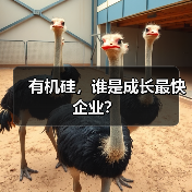 有机硅，谁是成长最快企业？（图2）