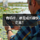 有机硅，谁是成长最快企业？（图3）