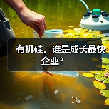 有机硅，谁是成长最快企业？（图1）
