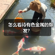 怎么看待有色金属的爆发？（图4）