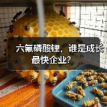 六氟磷酸锂，谁是成长最快企业？（图4）